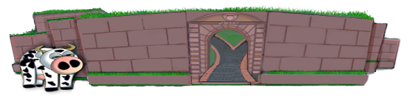 creation-web-belfort