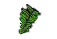 creation-web-belfort