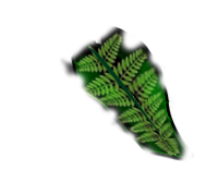 creation-web-belfort