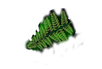 creation-web-belfort