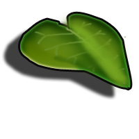 creation-web-belfort